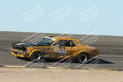 media/Oct-12-2025-Lucky Dog Racing (Sun) [[8adb5568ea]]/1-First Stint/2-Bowl Pans/